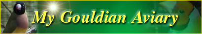 My Gouldian Aviary website
