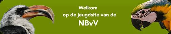 jeugd nbvv